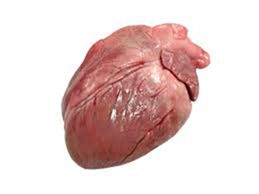 Corazón de Cerdo (formato 1 kg)